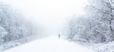 Ormanda karlı bir yolda yürüyen seyahat fotoğrafçısı.