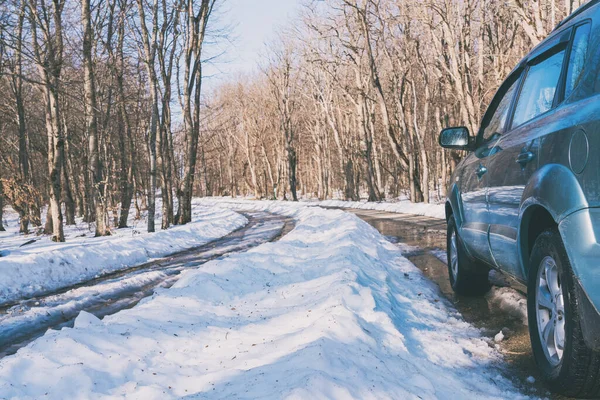 Ormanda asfalt yolu karla kaplı bir arazi aracı.