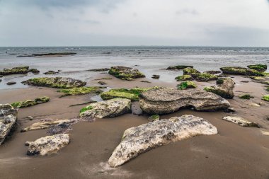 Ekolojik felaket. Kuru Hazar Denizi