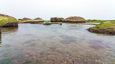 Temiz suyla kayalık deniz kenarı