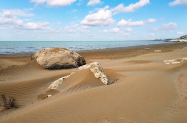 Deniz kenarındaki kum tepeleri