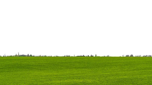 Landscape View Green Grass Field Isolated White Background — Stock Photo, Image