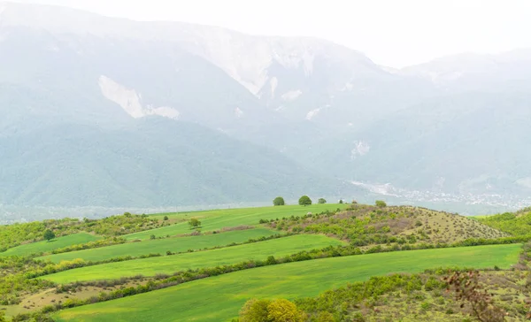 Dağların Eteğindeki Yeşil Tarlalar — Stok fotoğraf