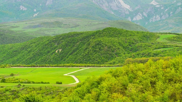 Dağların Eteğindeki Yeşil Tarlalar — Stok fotoğraf