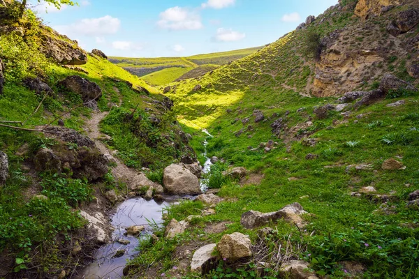 Река Зеленом Горном Ущелье — стоковое фото