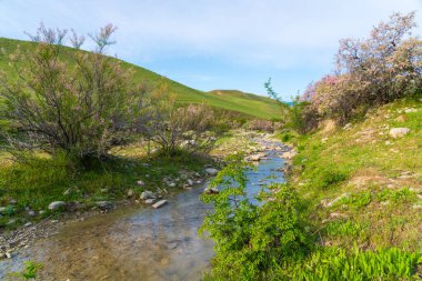 Dağlık bölgede küçük bir nehir