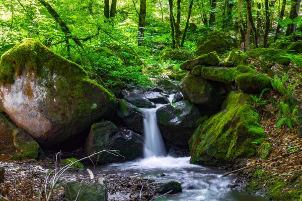 Wodospad Zielonym Lesie — Zdjęcie stockowe