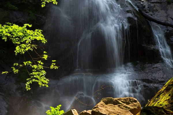 Belle Cascade Dans Jungle — Photo