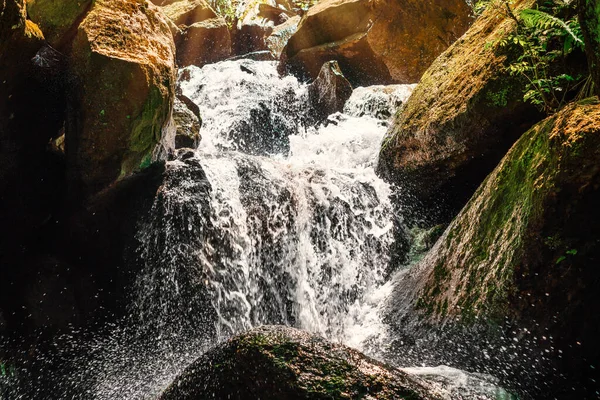 Belle Cascade Dans Jungle — Photo