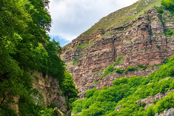 Garganta Montaña Con Pendientes Empinadas Cubiertas Bosque — Foto de Stock