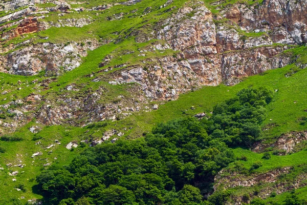 Couches Rocheuses Dans Réserve Naturelle — Photo