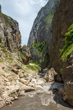 Vadideki hızlı dağ nehri.