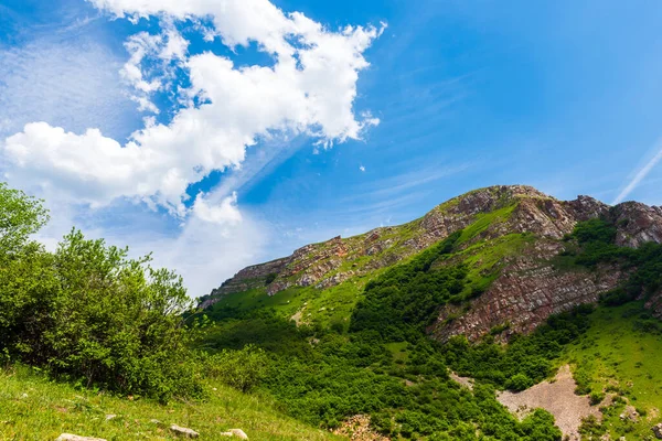 Zelené Skály Přírodní Rezervaci — Stock fotografie