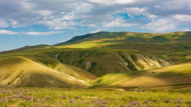 Bulutlu gökyüzü ile Alp çayırları