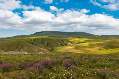 Bulutlu gökyüzü ile Alp çayırları