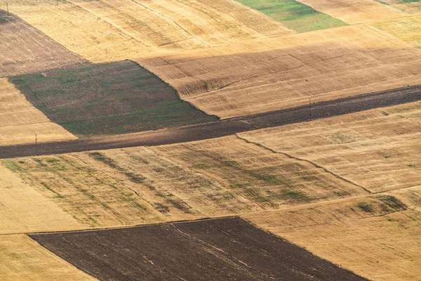 Gelbe Felder Mit Getreide — Stockfoto