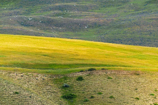 Colinas Verdes Las Tierras Altas —  Fotos de Stock