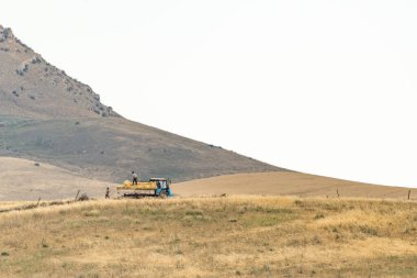 Tarlada saman biçen çiftçiler