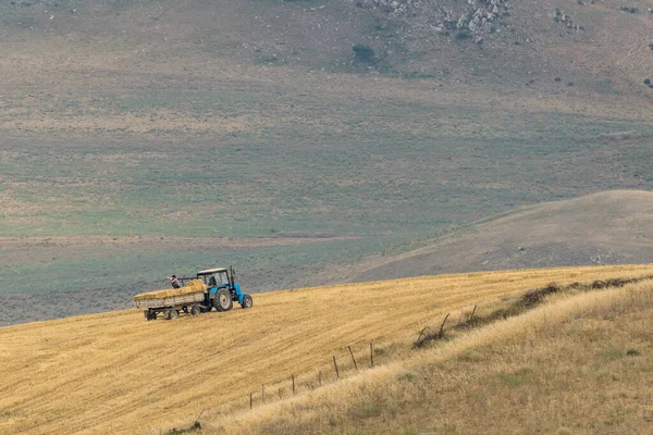 Agricultores Cosechando Heno Campo —  Fotos de Stock