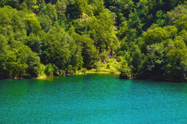 Azerbaycan 'daki MaralGol Dağı' nın manzarası