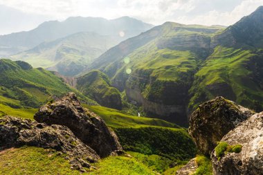 Yeşil çimenli ve ormanlı yüksek dağlar