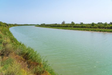 Nehir yatağı ve nehir boyunca yeşil ağaçlar.