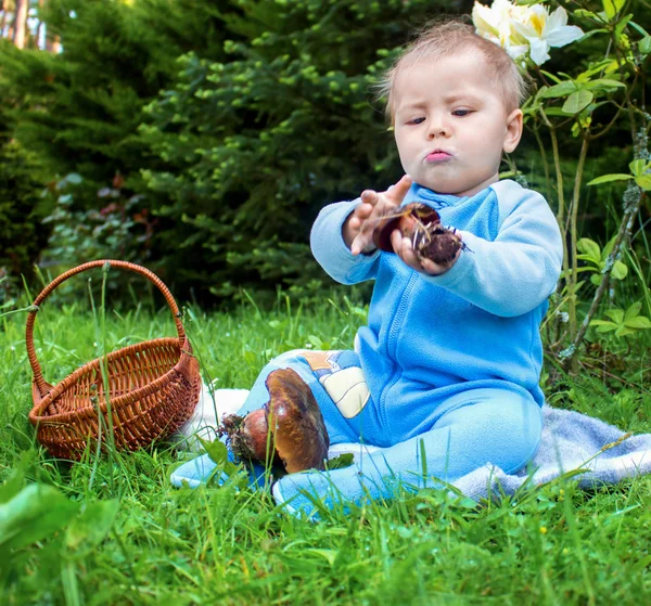 Pequeño bebé sentado en la hierba en el parque y buscando estudiado en mushroo — Foto de Stock