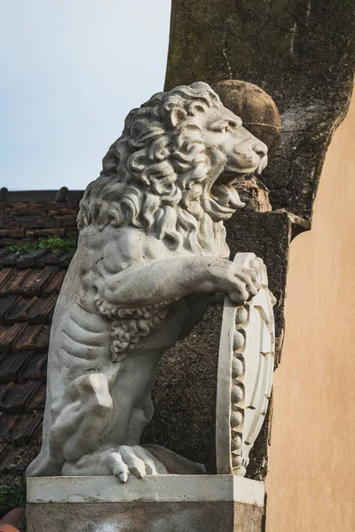 Escultura León Techo Edificio — Foto de Stock