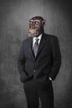 Monkey businessman clipart