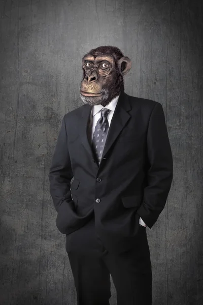 Monkey affärsman — Stockfoto