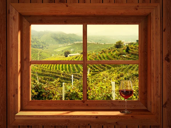 Italienska vingårdar — Stockfoto
