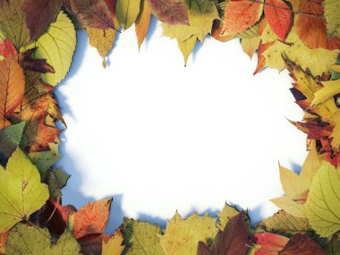 Sonbahar Yaprakları