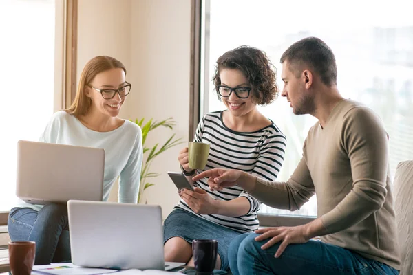 Aangename lachende collega's zittend op kantoor — Stockfoto