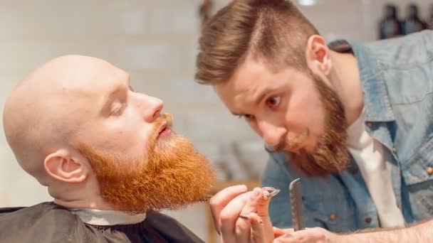 Professional barber cutting beard of his client — Stock Video