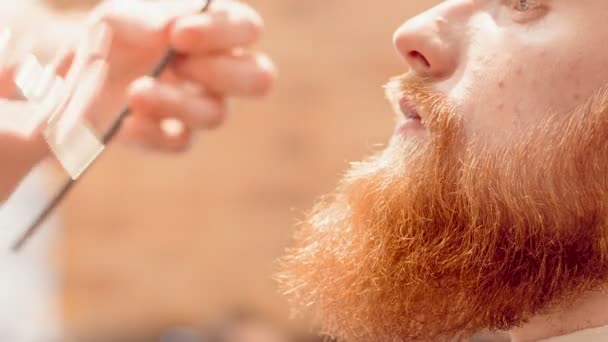 Barbeiro profissional barba de corte de seu cliente — Vídeo de Stock