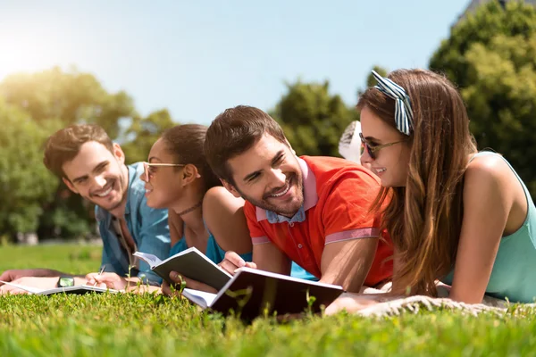 Estudiantes que estudian juntos al aire libre — Foto de Stock