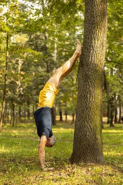 Подходящий мужчина, практикующий йогу в одиночку в лесу — стоковое фото