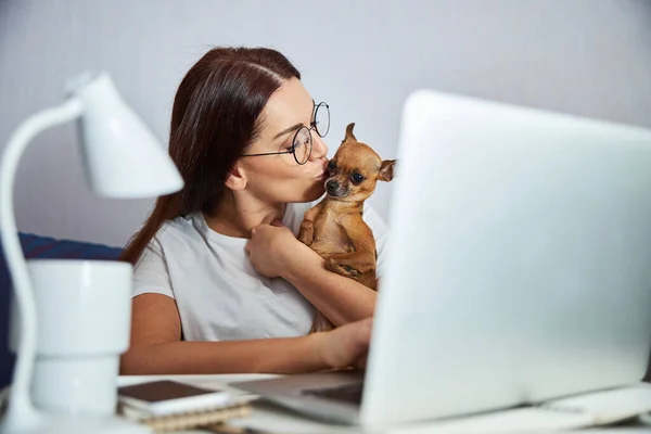 Wesoła kobieta całuje psa podczas pracy na laptopie — Zdjęcie stockowe