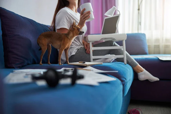 강아지와 기구를 가지고 집에서 쉬고 있는 여자 — 스톡 사진