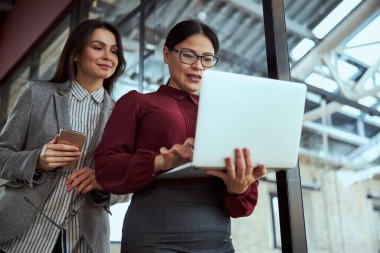 İki tatlı kadın bilgisayar ekranına bakıyor.