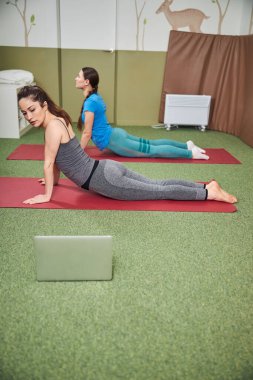 Spor kadınları yukarı doğru köpek yogası pozisyonuna çalışıyor.