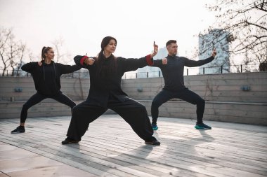Tai Chi 'nin dış bölgelerdeki formu.