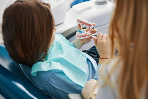 Niño cepillándose los dientes inferiores del modelo con cepillo de dientes —  Fotos de Stock