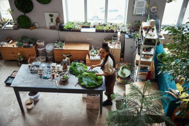 Sevinçli güzel çiçek tasarımcısı bitki panelleri yapıyor.