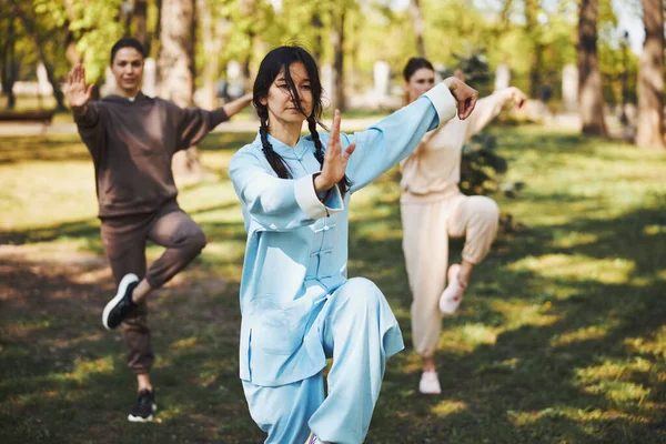 Tai chi tränare stående i kran pose inför två studenter — Stockfoto