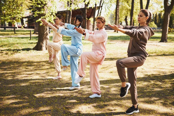 Estudiantes de kung fu aprenden la actividad para mantener el equilibrio —  Fotos de Stock