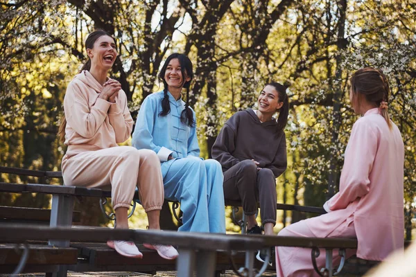Компанія жінок, що сміються на лавці зовні — стокове фото