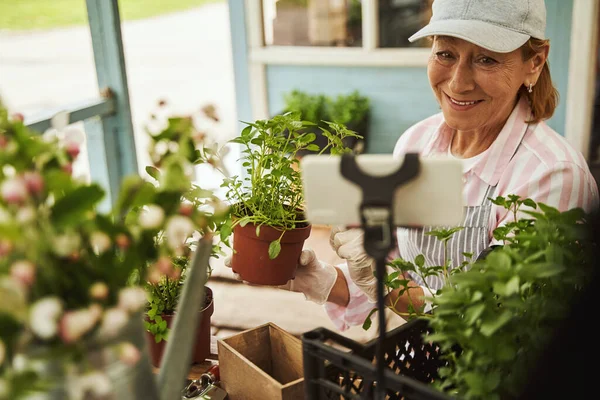 Veselá starší žena pracující s rostlinami na verandě — Stock fotografie