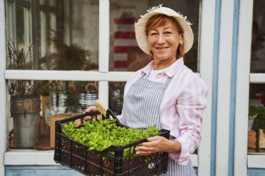 Açık havada fide yetiştiren neşeli, olgun bir kadın.