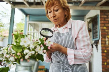 İş yerinde Louise 'i kullanan profesyonel bir kadın çiçekçi.